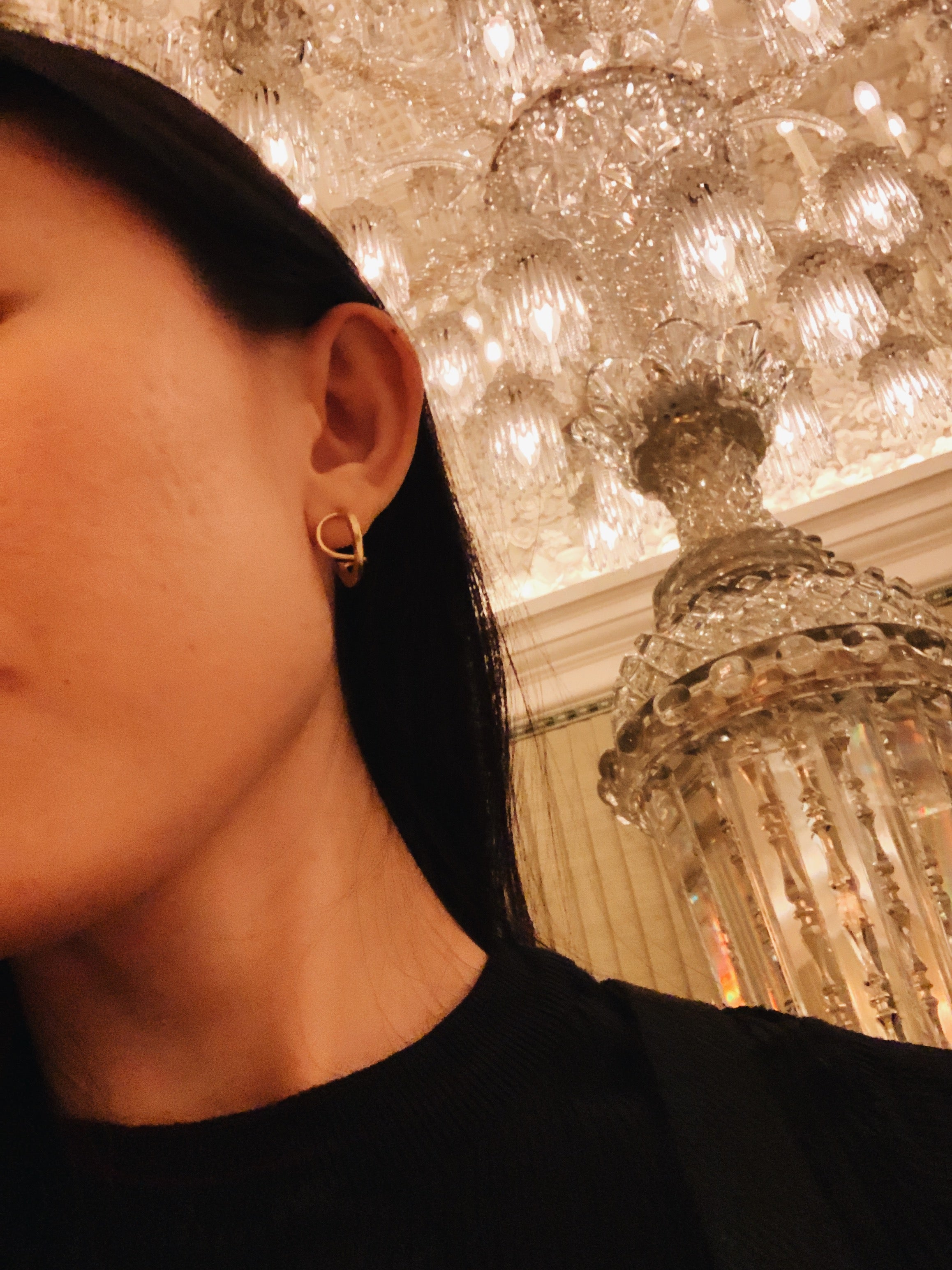 Arca Bar Earring
