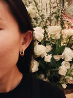 Load image into Gallery viewer, Arca Bar Earring
